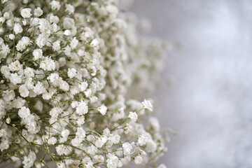Small white flowers on white soft background.