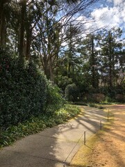 path in the woods