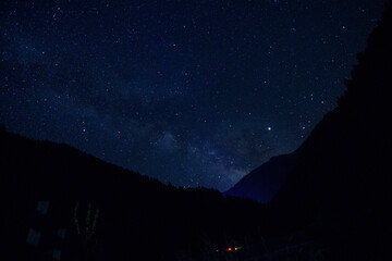 Чувства ,эмоции, жизнь