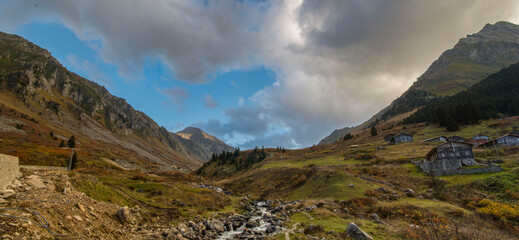 Чувства ,эмоции, жизнь