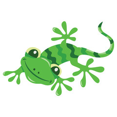 Cute Cartoon Gecko Lizard