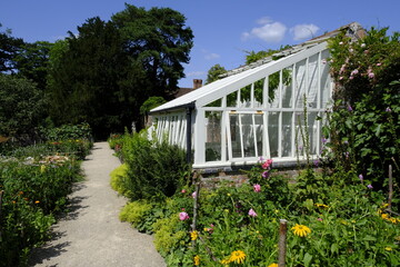 greenhouse garden summer 