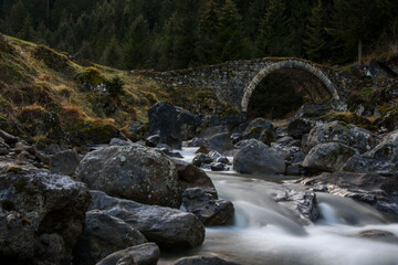 Чувства ,эмоции, жизнь