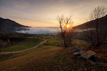 Чувства ,эмоции, жизнь