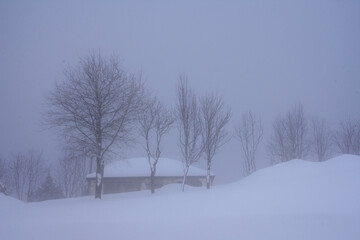 Чувства ,эмоции, жизнь