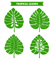 Tropical leaves flat vector illustration. Monstera leaf clipart.