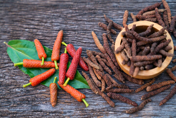Long Pepper, Indian long pepper, Javanese long pepper (Piper retrofractum Vahl), spices and herbs with medicinal properties. - obrazy, fototapety, plakaty