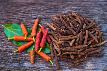 Long Pepper, Indian long pepper, Javanese long pepper (Piper retrofractum Vahl), spices and herbs...