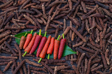 Long Pepper, Indian long pepper, Javanese long pepper (Piper retrofractum Vahl), spices and herbs with medicinal properties. - obrazy, fototapety, plakaty