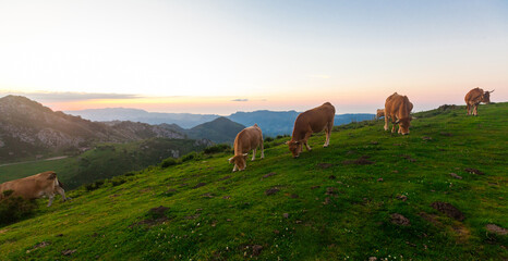 Obraz premium views of Sunset of national park peaks of europe