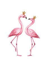 Watercolor illustration of a pink couple flamingo.