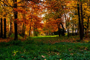 jesienny krajobraz © Dariusz Grochal 
