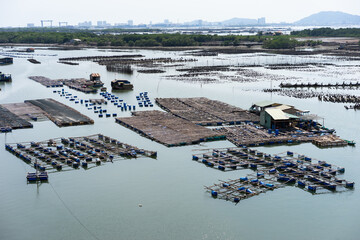 sea food farm