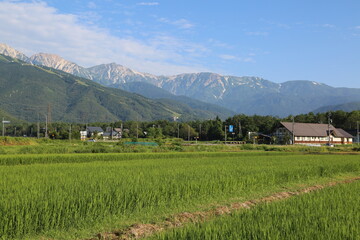山と田んぼ