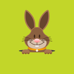 Osterhase Im Loch Grün