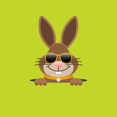 Osterhase Sonnenbrille Im Loch Grün