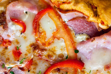 delicious pizza from different ingredients