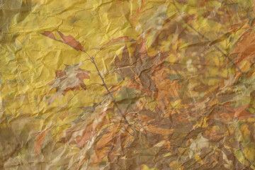 Crumpled paper with the image of autumn leaves as a background.