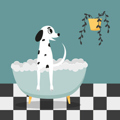 Cute dogs taking a shower in the bathroom. Vector illustration of the dalmatian.