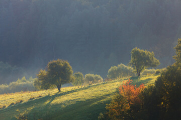 misty morning in the mountains © uranos1980