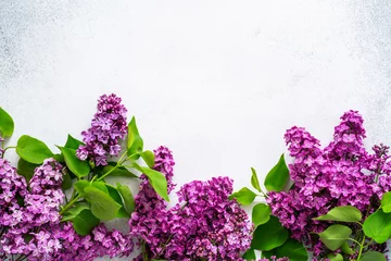 Foto op Plexiglas Bright fresh purple lilac branches with green leaves on textured light grey background. Lush spring flowers composition. Seasonal blossom mockup. Natural floral layout. Flat lay, copy space, top view. © gorina_anna