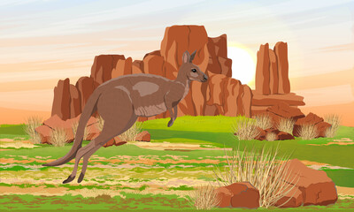 Australian big red kangaroo jumping in a meadow near the red rocks and bushes. Endemic species of Australia. Realistic vector landscape - obrazy, fototapety, plakaty