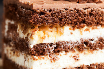 a piece of chocolate cake with cottage cheese filling