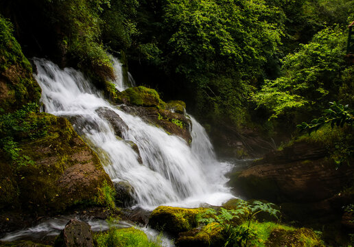 Cascada en el bosque en primavera