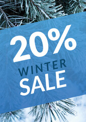 Winter sale 20%