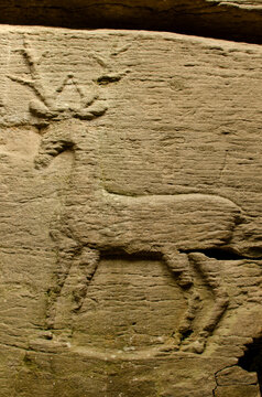 Detail of the wall in pagan cave with figure deer carved in stone