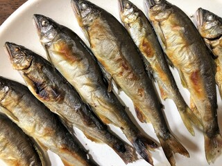 鮎アユ川魚焼き魚