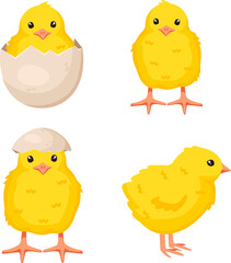 Set of cute baby chickens in different poses for easter design isolated on white background