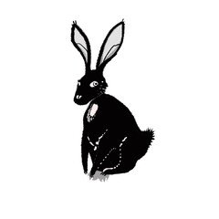 graphic stylish hare black and white for decor illustration 