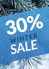 Winter sale 30% - obrazy, fototapety, plakaty