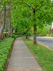 Fototapeta na wymiar Paved pathway in a park through residential area in Vancouver, Canada