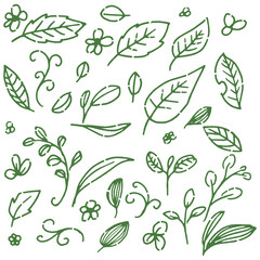 葉ドローイング