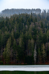 Panorama of Lake Synevyr, a picturesque mountain lake, a lake in the mountains.