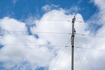 Fototapeta premium Wires and wire fences under blue sky and white clouds.