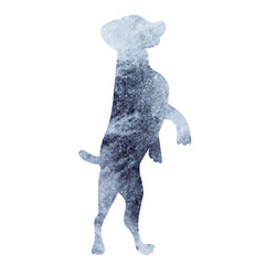 dog watercolor silhouette ,on white background, vector