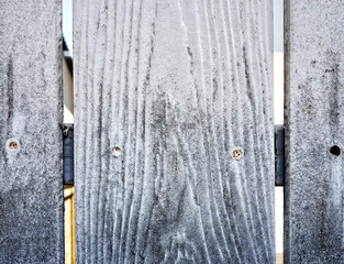 abstract background texture.The surface of the plank.The wood has a black fungus that makes it look dirty.