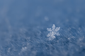 Makroaufnahme einer Schneeflocke auf blauem Hintergrund