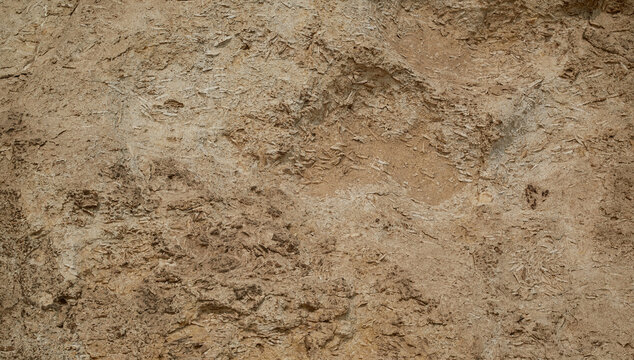 Natural texture sandstone, sun lighting, stone background