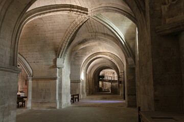 Fototapeta na wymiar Crypte Abbatiale Saint Gilles