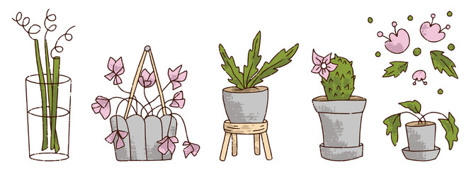 Hand drawn flower pot set for florist shop, cactus, dracaena in color isolated on white background, concept for sticker, card, banner. Floristry handicraft on white. Hand drawn vector illustration