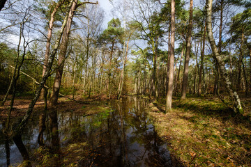Leuvenumse bossen, Hulshortserzand