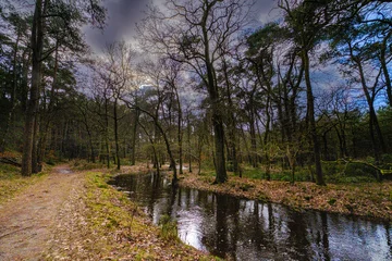 Fototapeten Leuvenumse bossen, Hulshortserzand © Holland-PhotostockNL