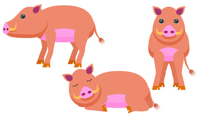 Set Abstract Collection Flat Cartoon Different Animal Boars Stand, Sleeping Vector Design Style Elements Fauna Wildlife