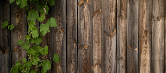 Wooden background with grape leaves and branch of berries. Dark brown scratched wooden cutting boards with green plant