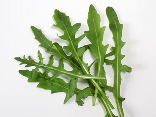 Green leaves of arugula on white background