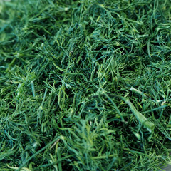 lots of dried green dill. spice . green background